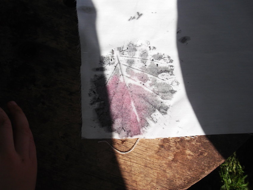 Image of Printing with natural paint