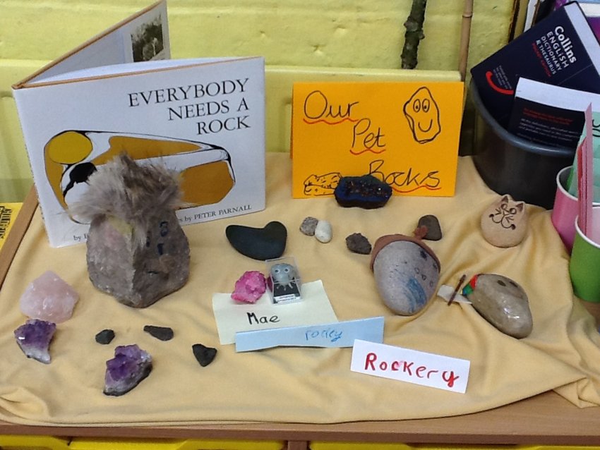 Image of Our Pet Rocks