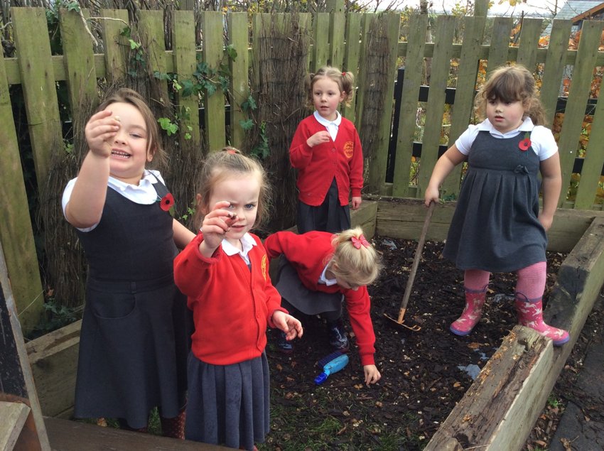 Image of Finding Dinosaur teeth in our sensory garden!