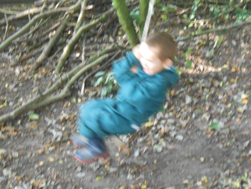 Image of Little monkey in the forest!