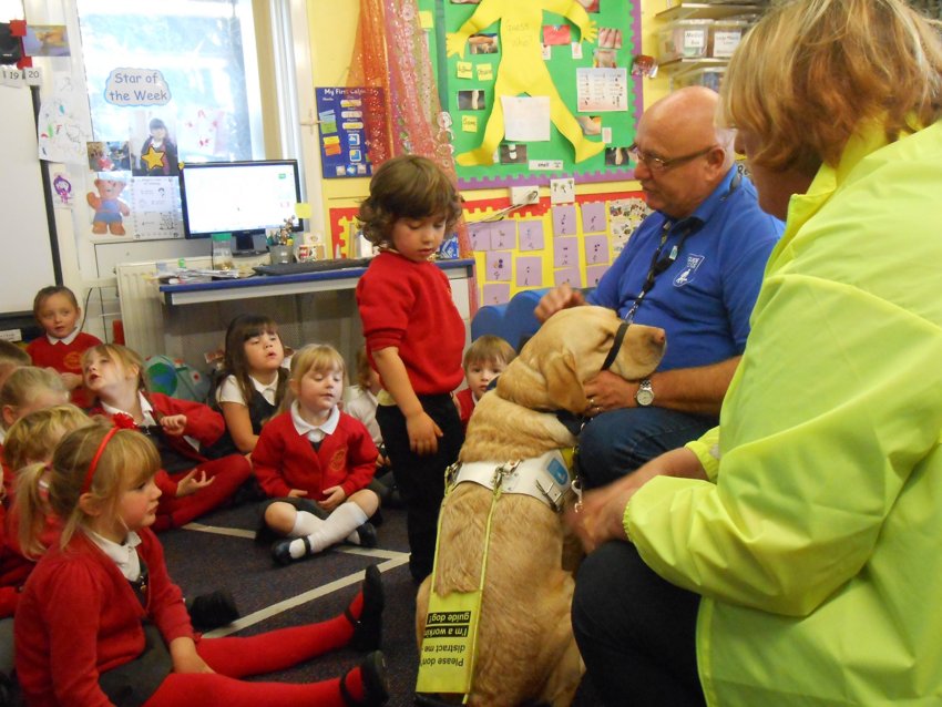 Image of Guide dogs visit